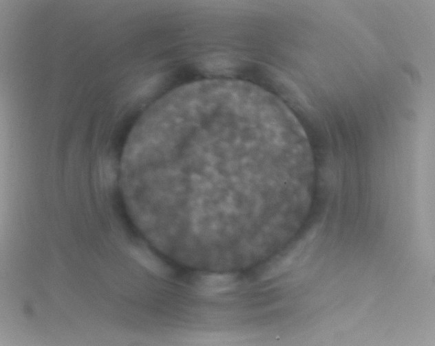 X0000115310081200911231338