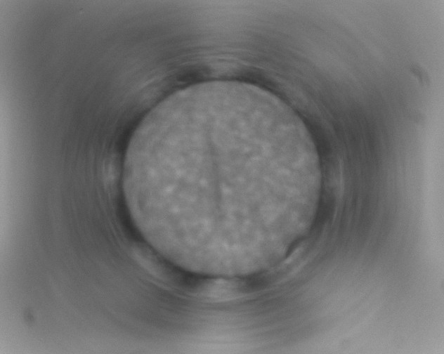 X0000115310082200911231338