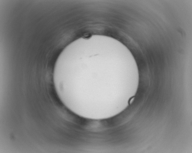 X0000115310083200911231339