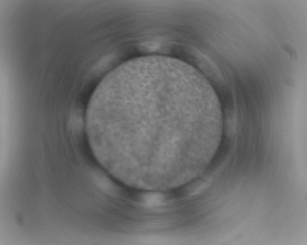 X0000115310085200911231339