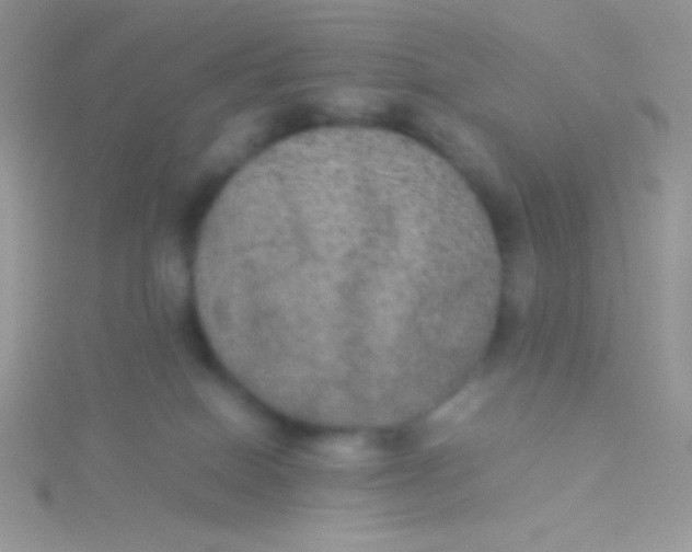 X0000115310086200911231339