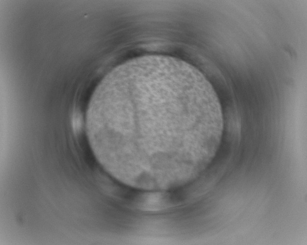 X0000115310089200911231339