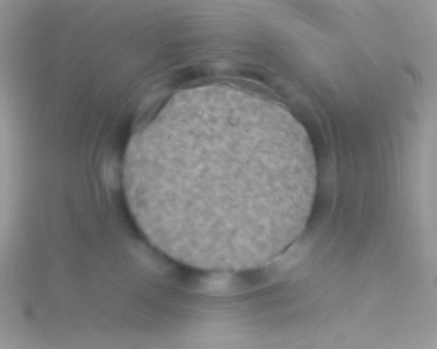 X0000115310090200911231339