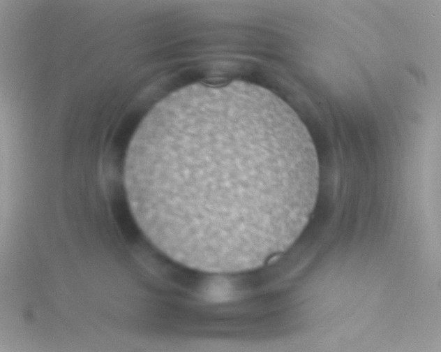 X0000115310091200911231339