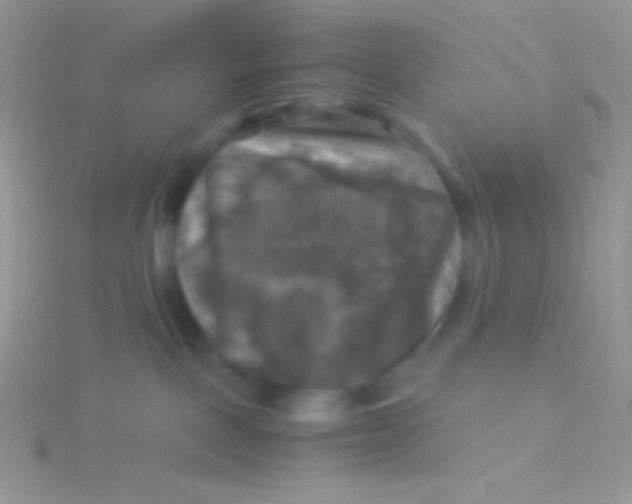 X0000115310093200911231339