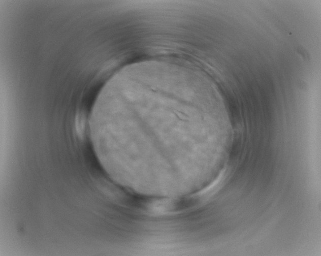 X0000115310094200911231339