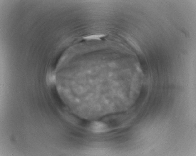 X0000115310095200911231339