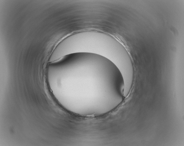 X0000115310097200911231338