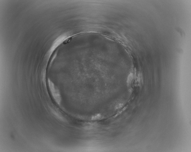 X0000115310099200911231338