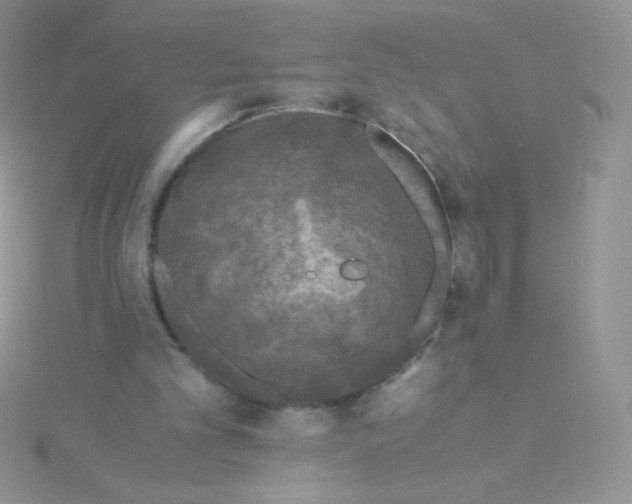 X0000115310101200911231338