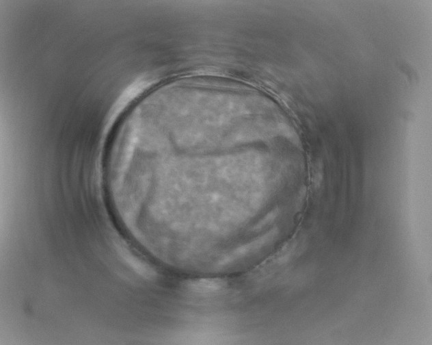 X0000115310102200911231338