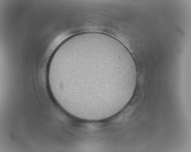 X0000115310103200911231338