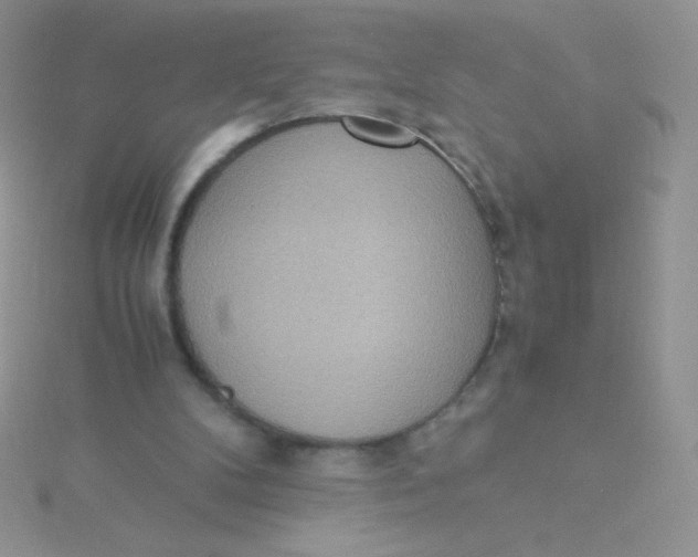 X0000115310104200911231338