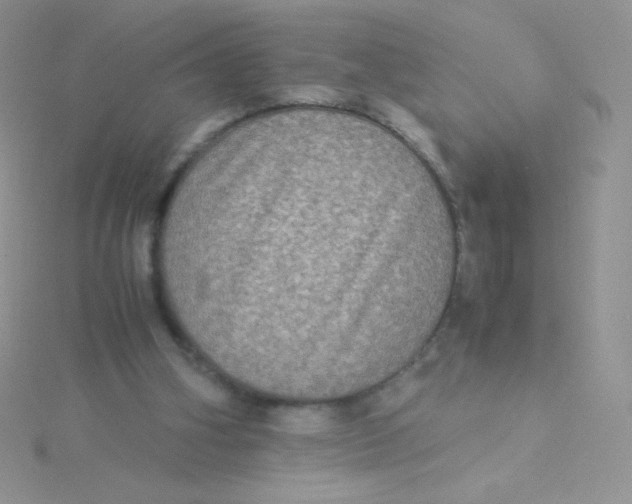 X0000115310106200911231338