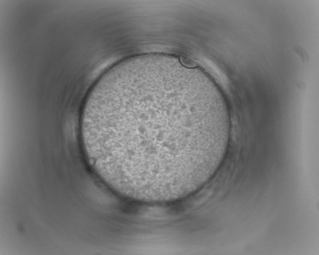 X0000115310107200911231338