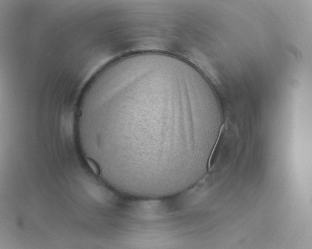 X0000115310108200911231338