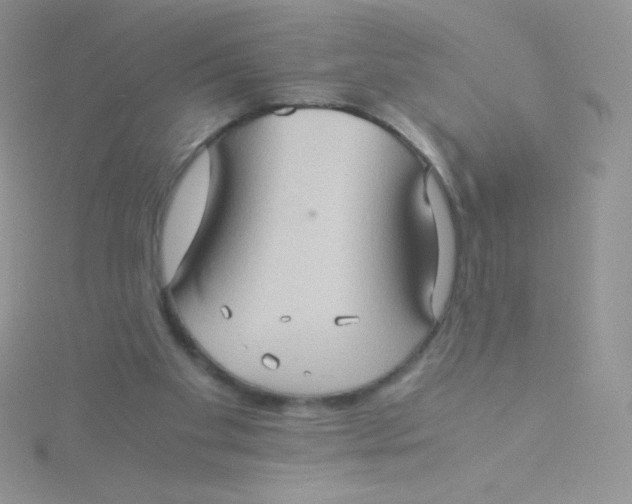 X0000115310109200911231338