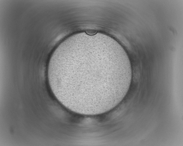 X0000115310111200911231338