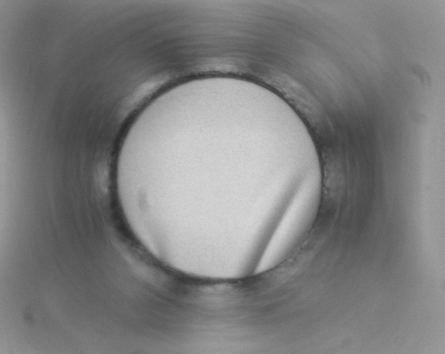 X0000115310112200911231338