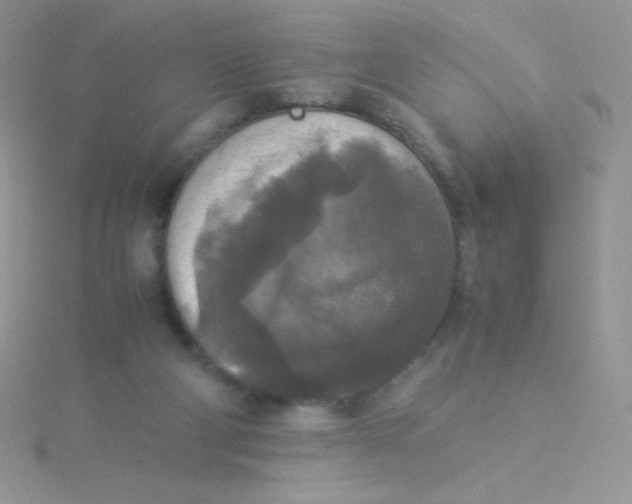 X0000115310114200911231338