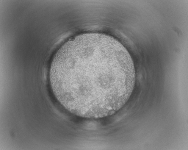 X0000115310115200911231338