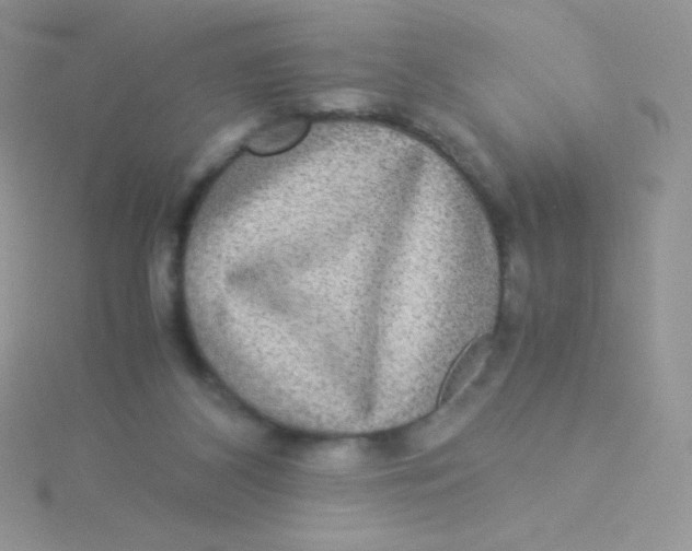 X0000115310116200911231338