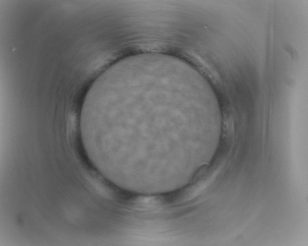 X0000115310117200911231338