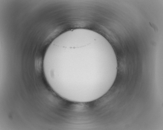 X0000115310118200911231338