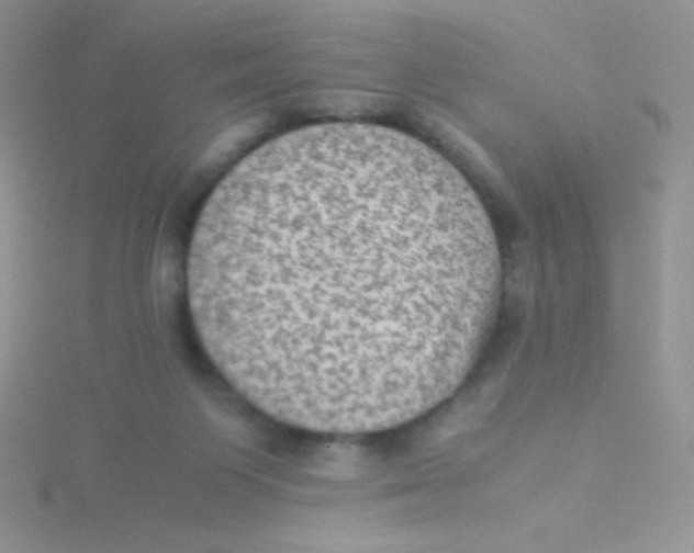 X0000115310119200911231338