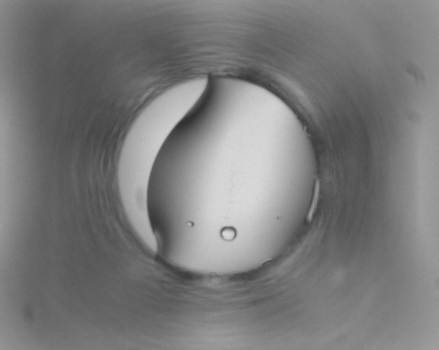 X0000115310121200911231338