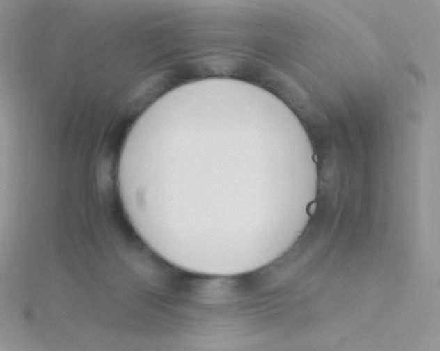 X0000115310122200911231338