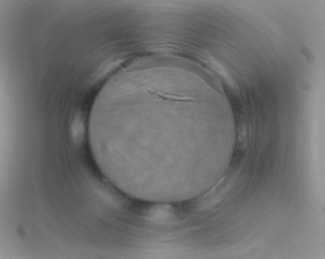 X0000115310124200911231338