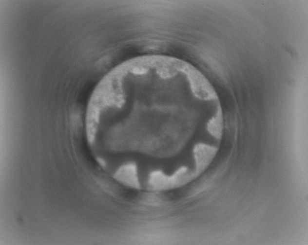 X0000115310127200911231337