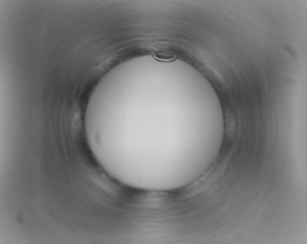 X0000115310128200911231337