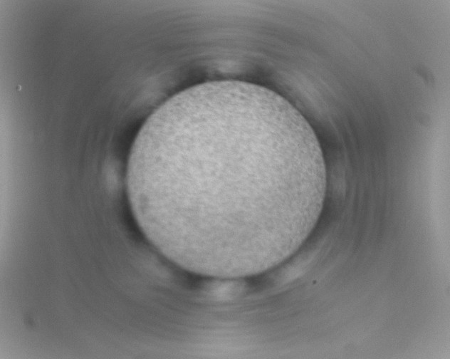 X0000115310135200911231337