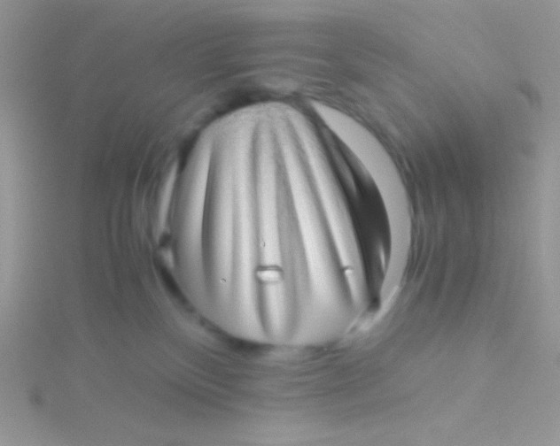 X0000115310136200911231337