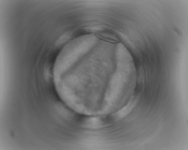 X0000115310140200911231337