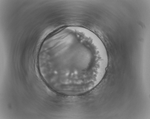 X0000115310145200911231337