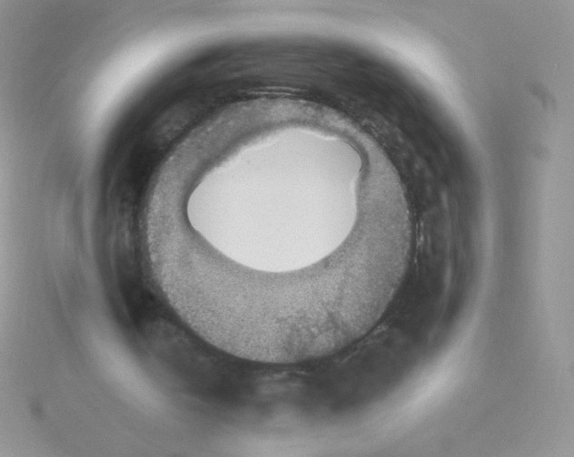 X0000115310146200911231337