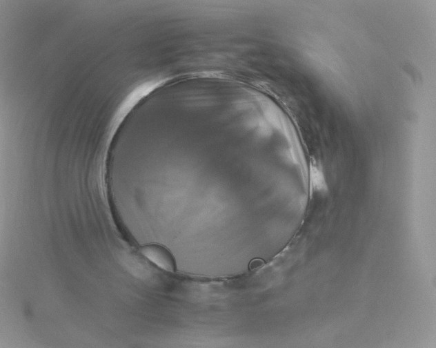 X0000115310147200911231337