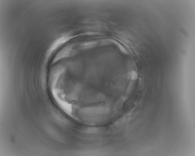 X0000115310149200911231337