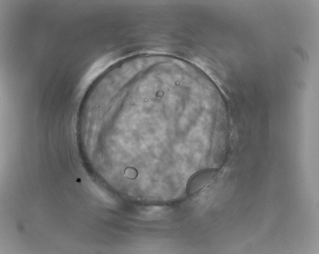 X0000115310151200911231337