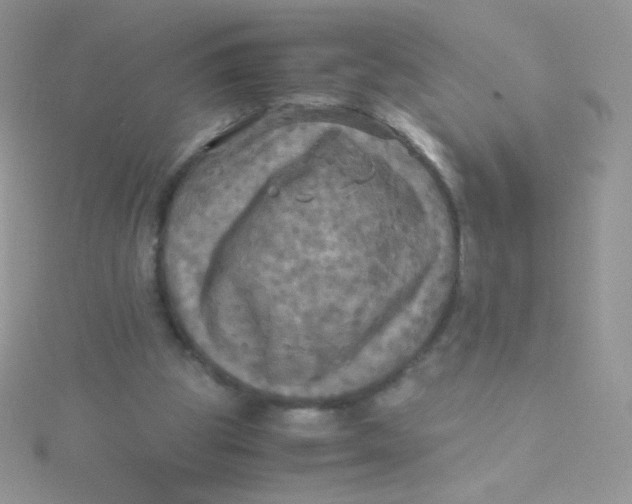 X0000115310153200911231337