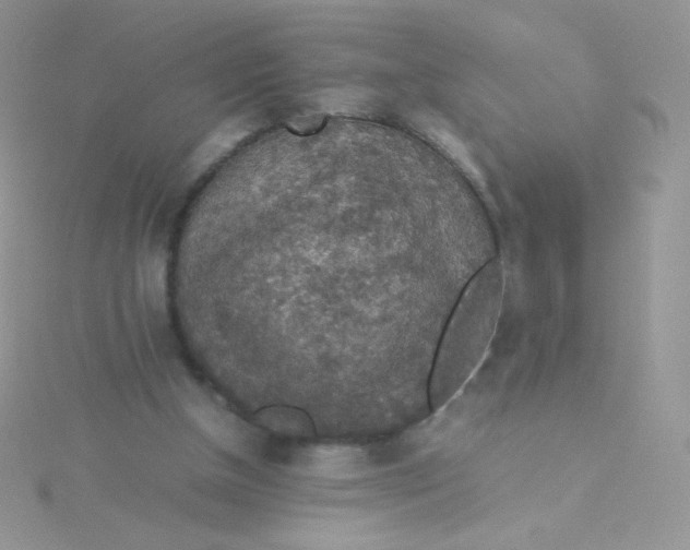 X0000115310154200911231337