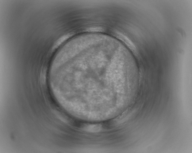 X0000115310155200911231337