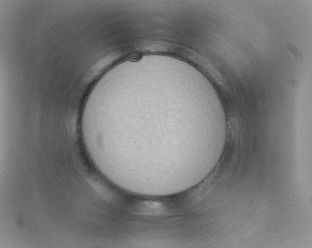 X0000115310159200911231337