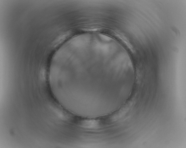 X0000115310161200911231337