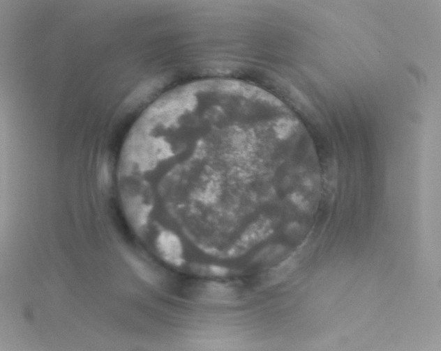 X0000115310166200911231337