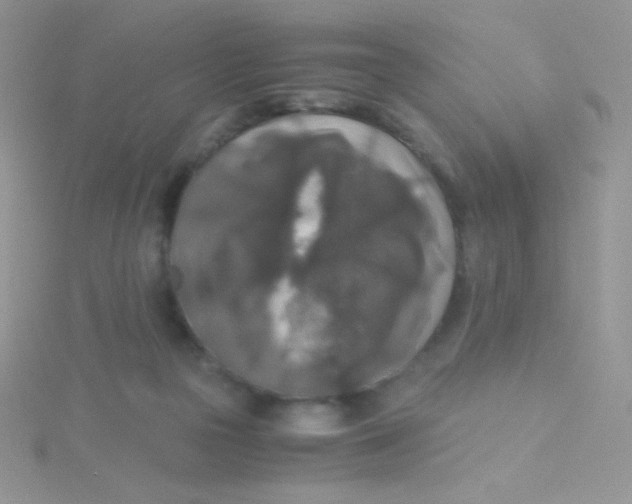 X0000115310169200911231337