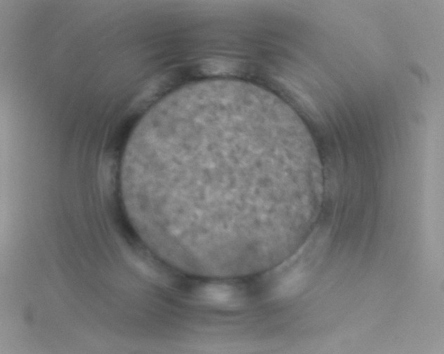 X0000115310171200911231337